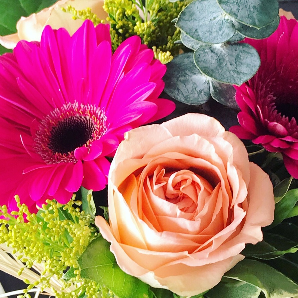 Meet your Posher, Emily